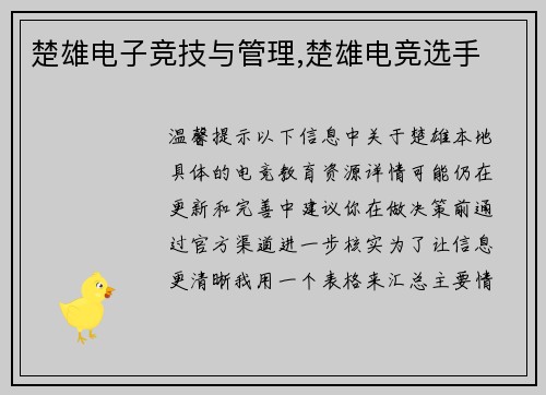 楚雄电子竞技与管理,楚雄电竞选手